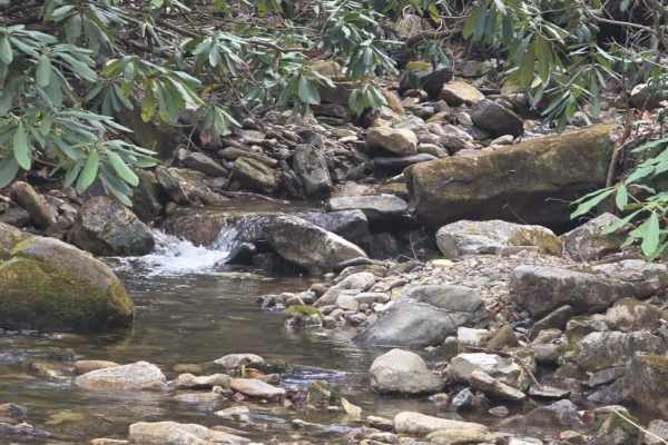 Rocky Branch Road