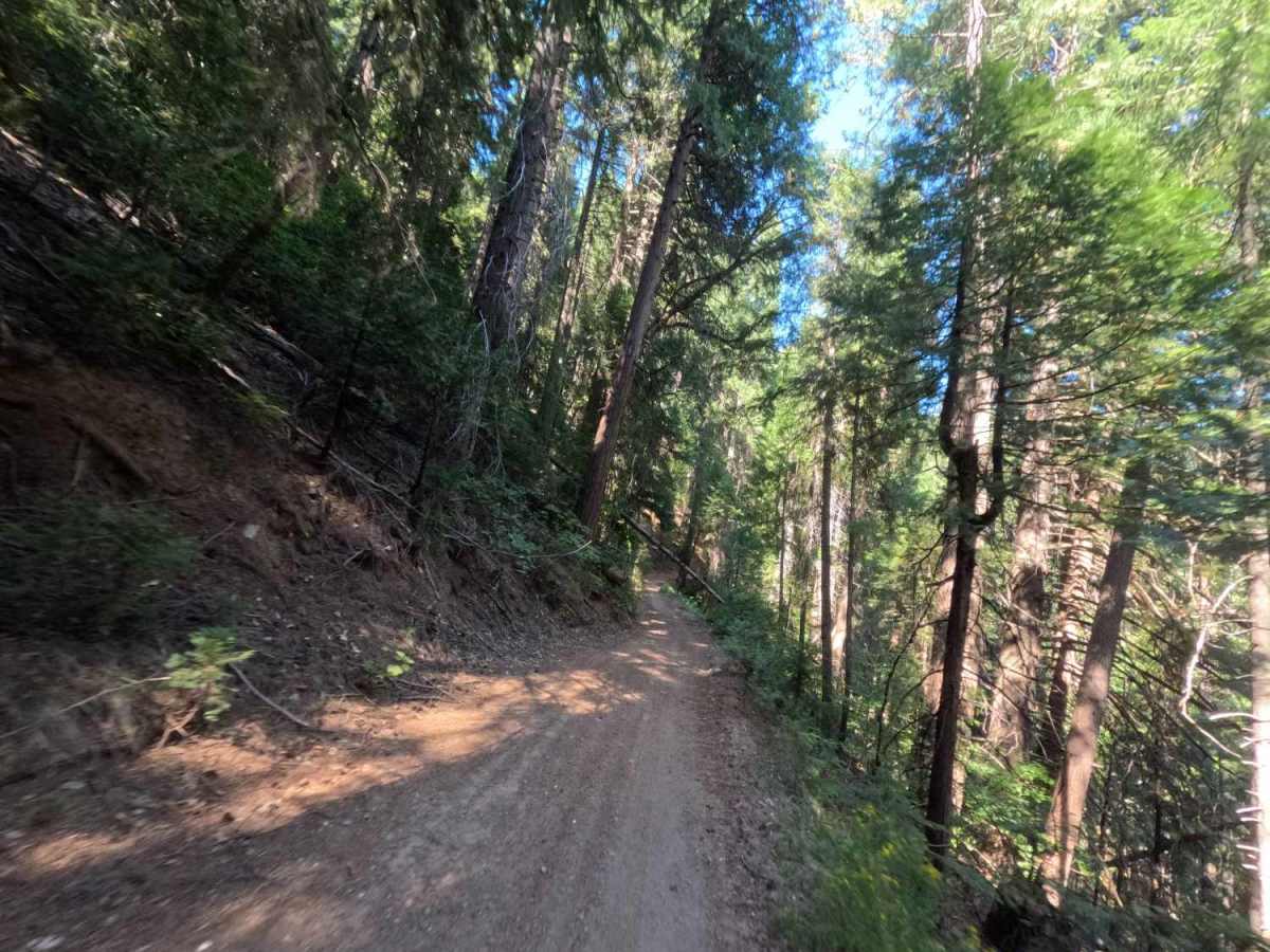 Lavezzola Road photo 2