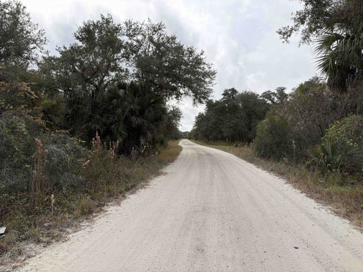 Road 16 - Three Lakes WMA photo 5