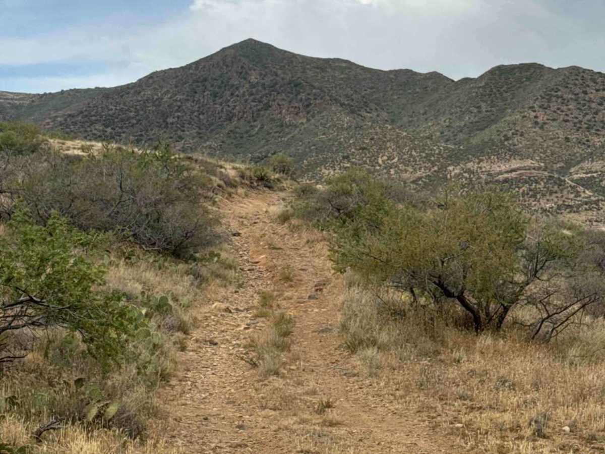 BLM 36046 trail photo