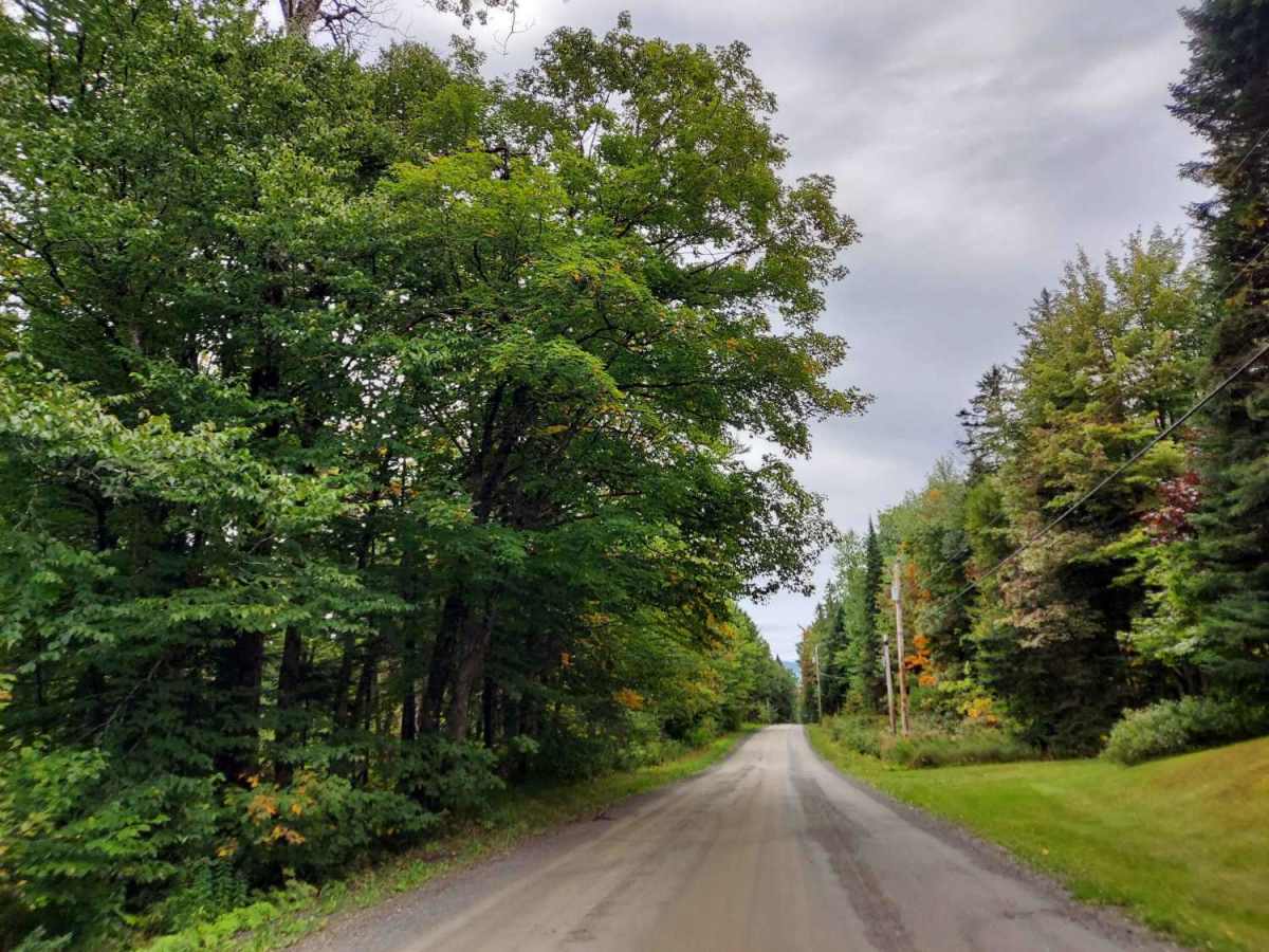 River Road photo 5