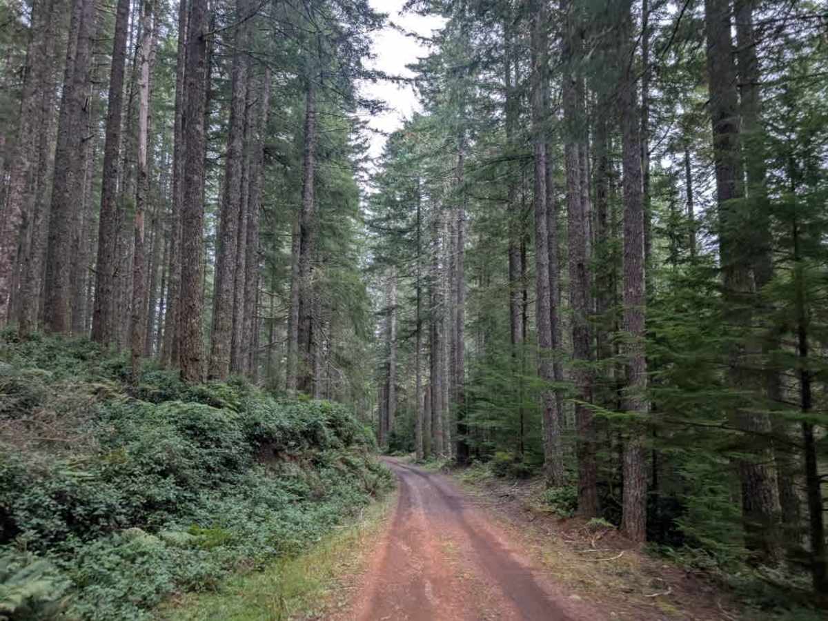 1800 trail photo