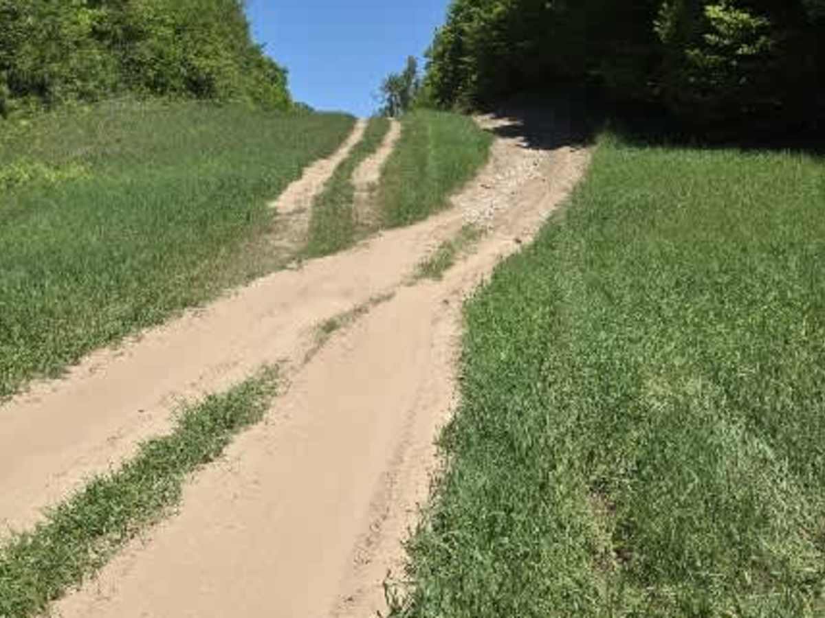 Pipeline Pass photo 4