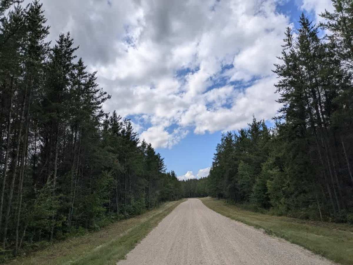 River Forest Road photo 5