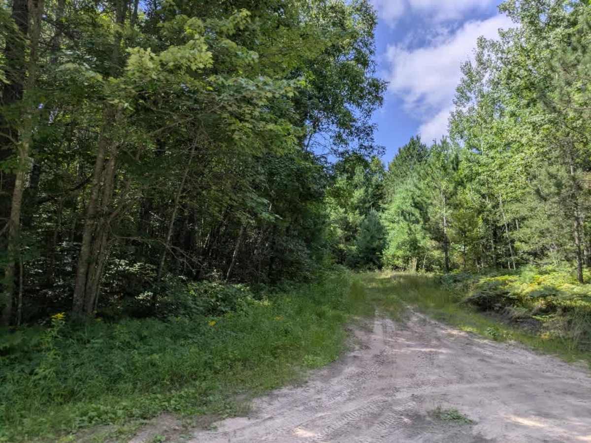 Black Bird Road Northeast photo 3