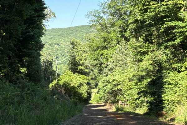 Cove Creek Road