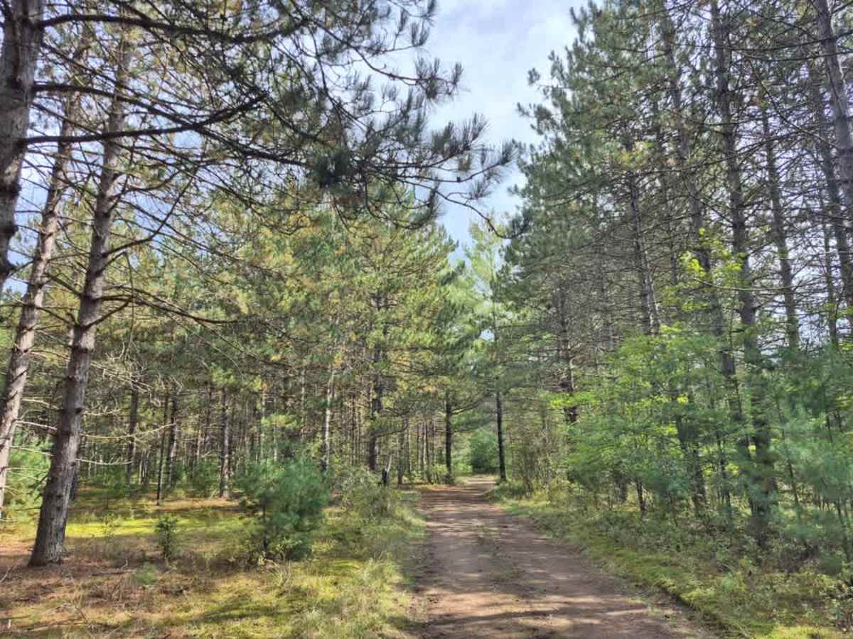Little Otter Creek Road photo 2