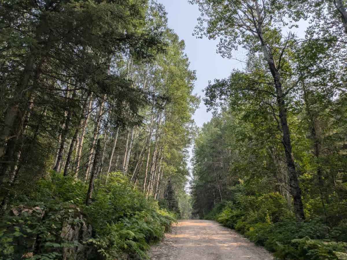 Moose River Access photo 6