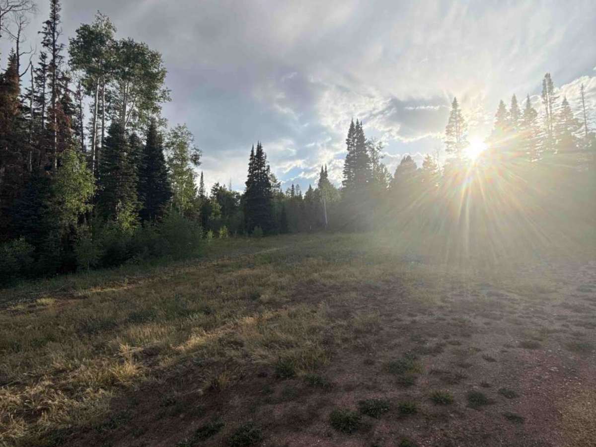 Red Dirt Rd - FS 100 photo 5