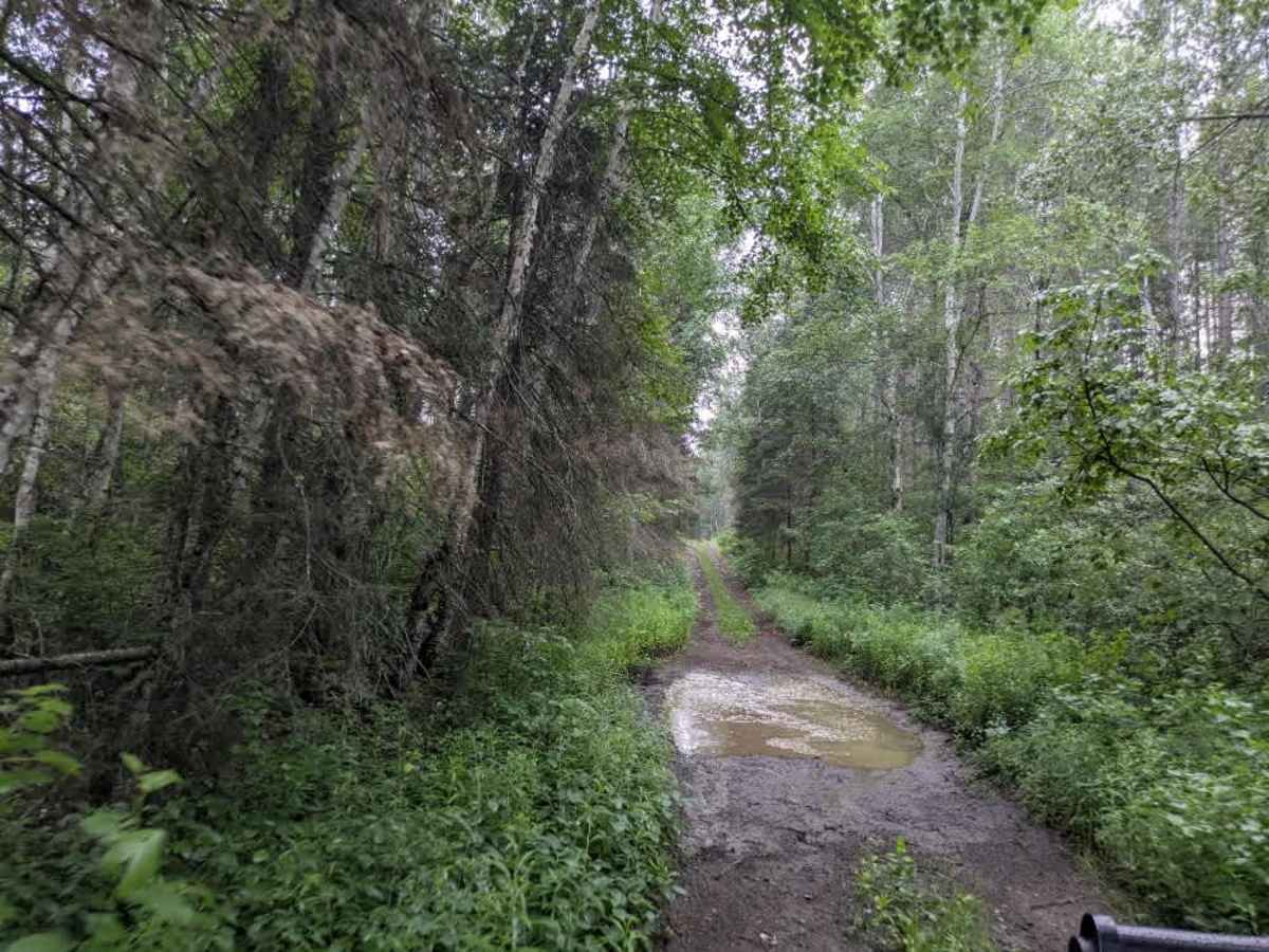 August Creek  photo 2