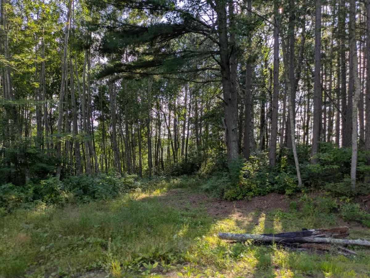 Loon Lake Road photo 4