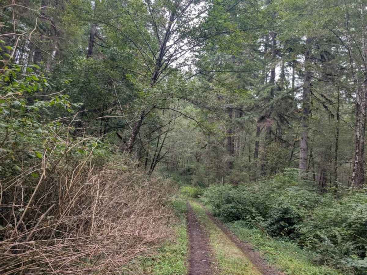 FS 3100126  photo 4