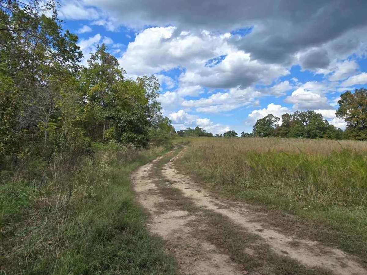 Upper Field Trail photo 6