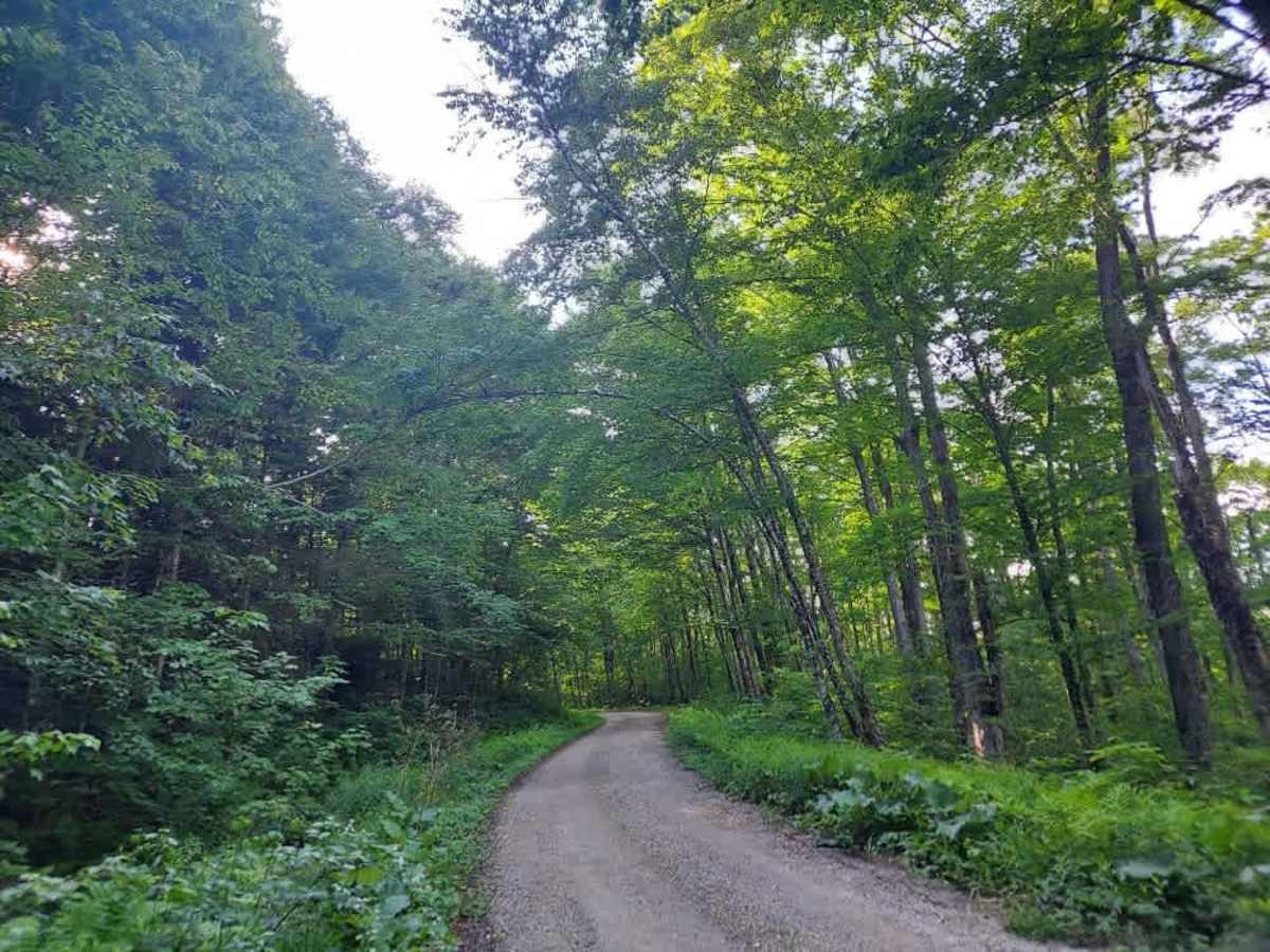 Old Job Road  photo 2