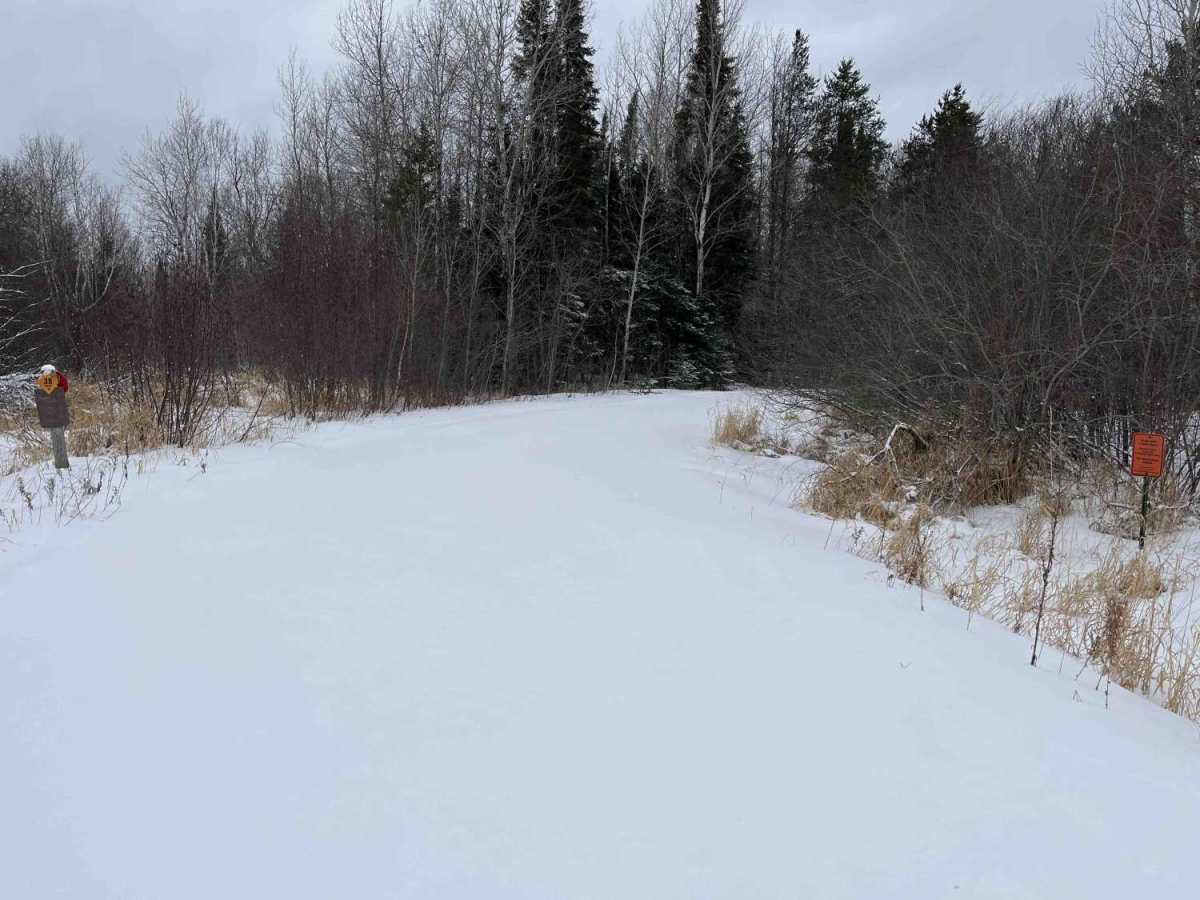 Nelson Forest Road photo 3