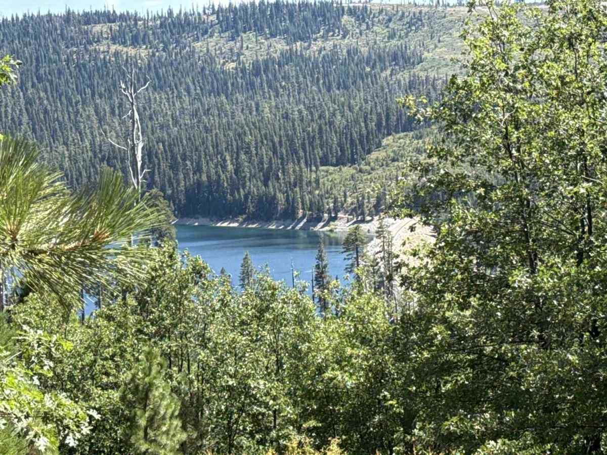 Lake Shore - FS 96-063 trail photo