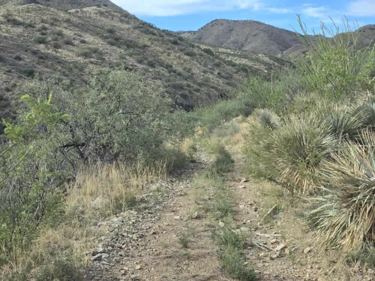 Proctor Trail photo 3