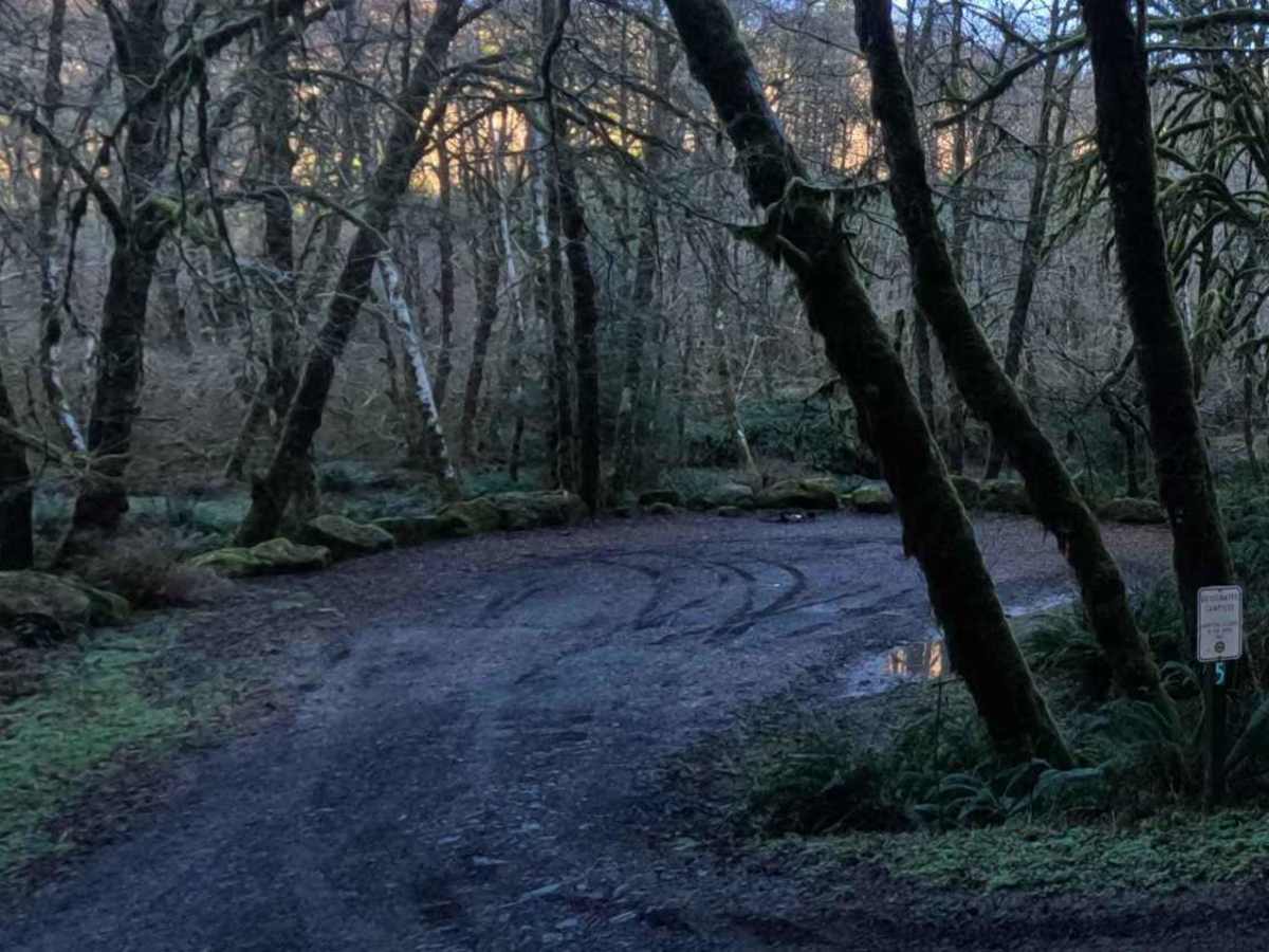 South Fork Trask River Road photo 3