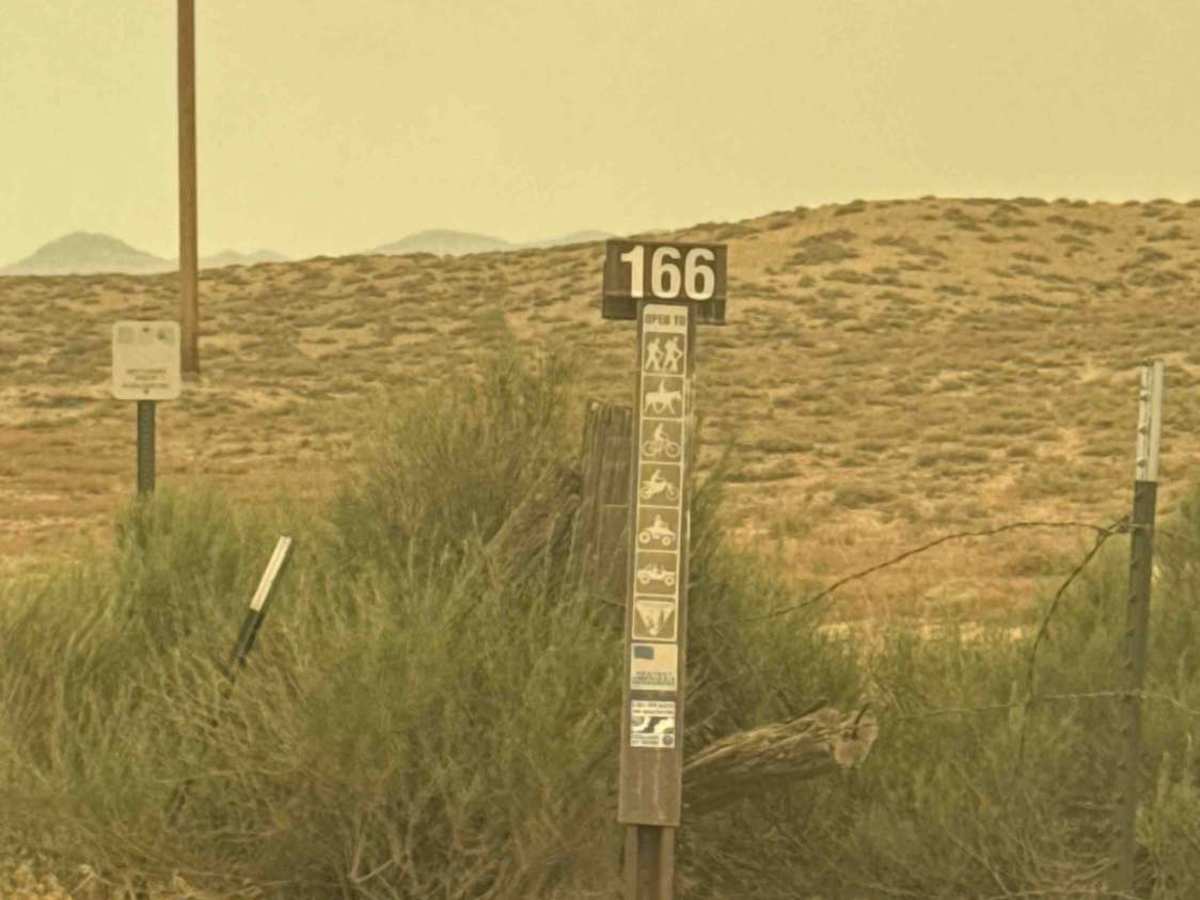 BLM 166 photo 5