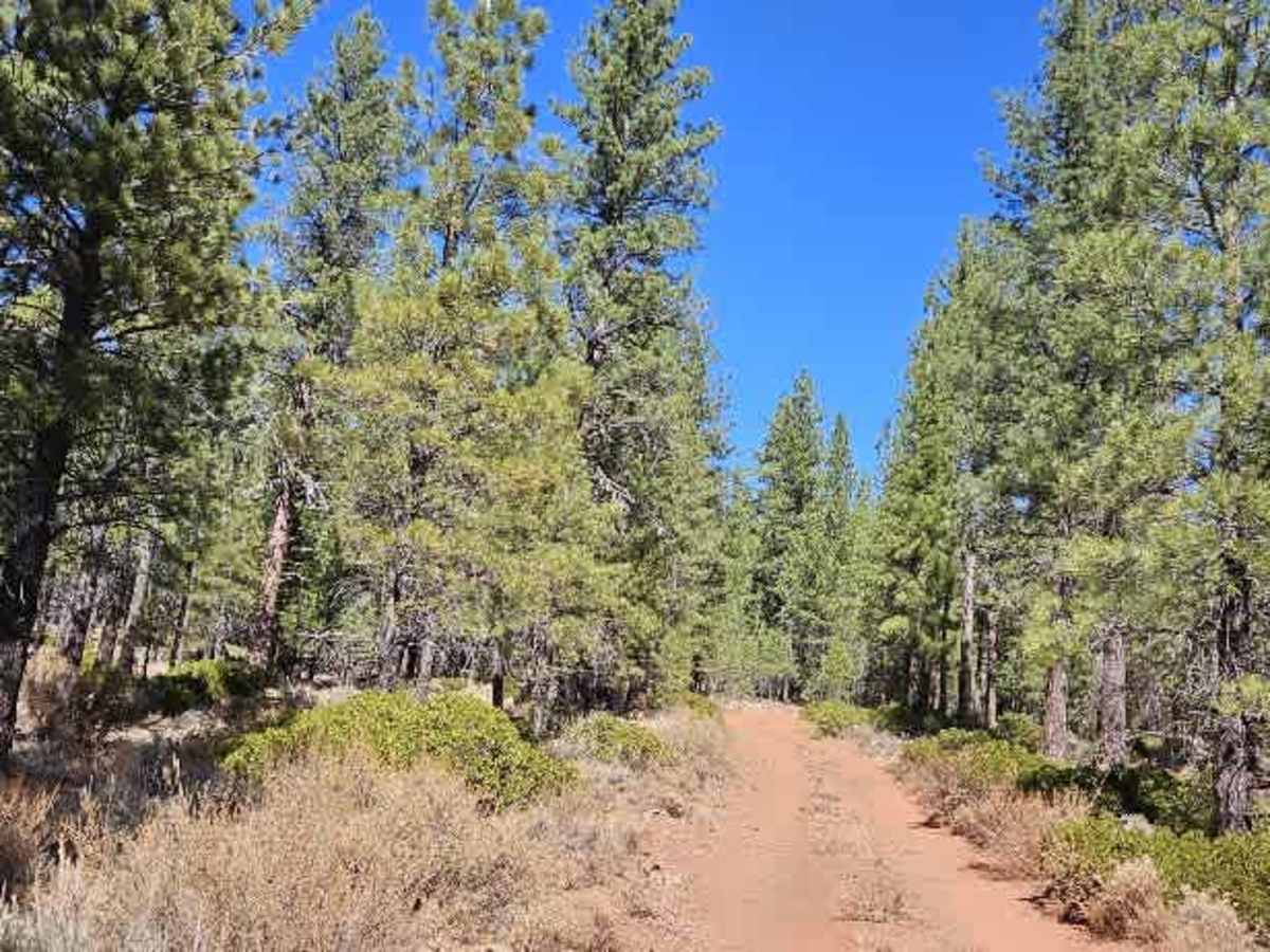 FS 33N17Y trail photo