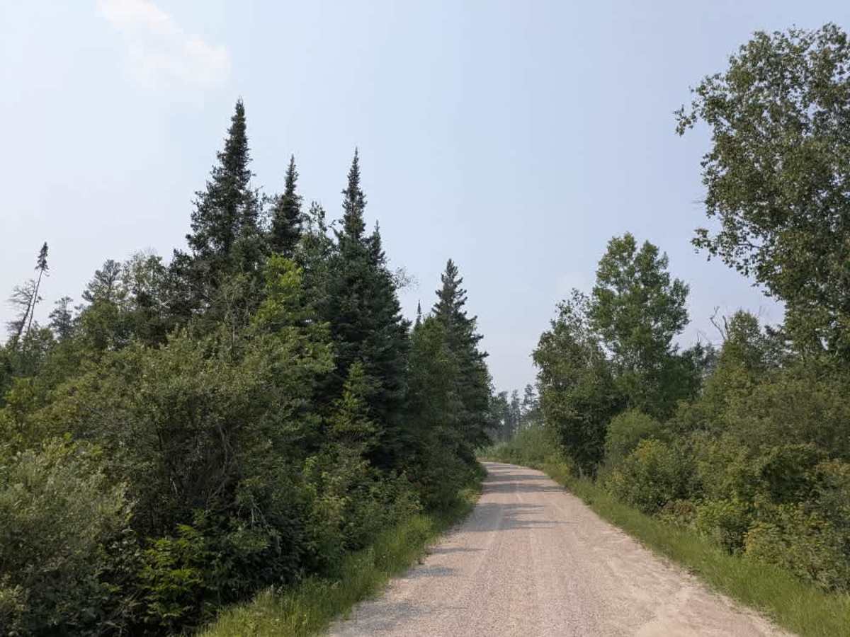 Birch Lake photo 5