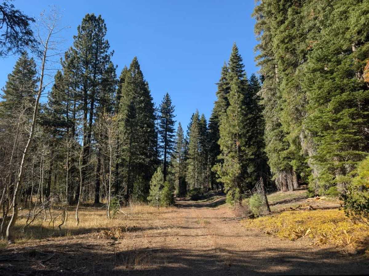 Willow Creek Road  photo 5