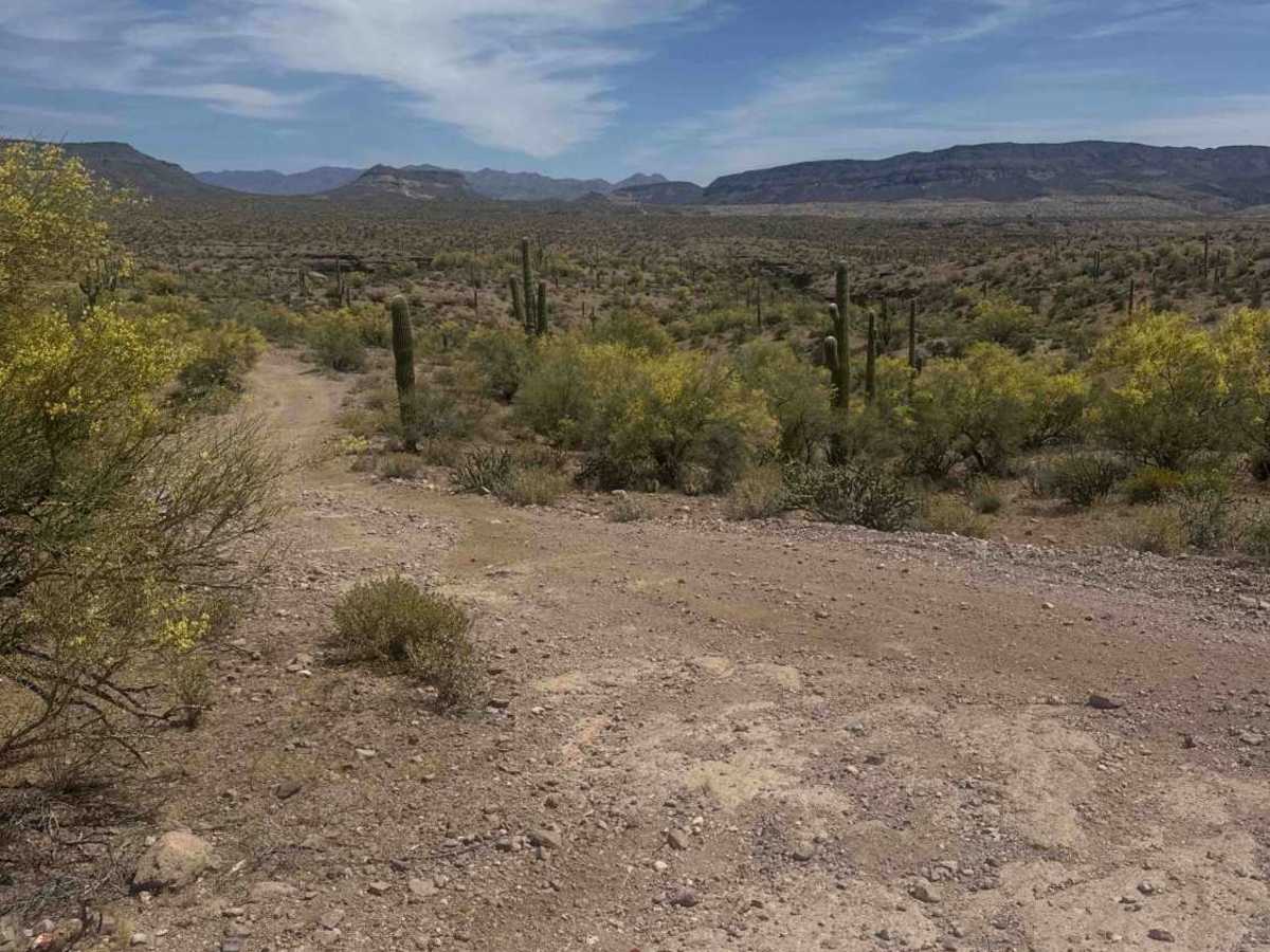 BLM 28057 trail photo