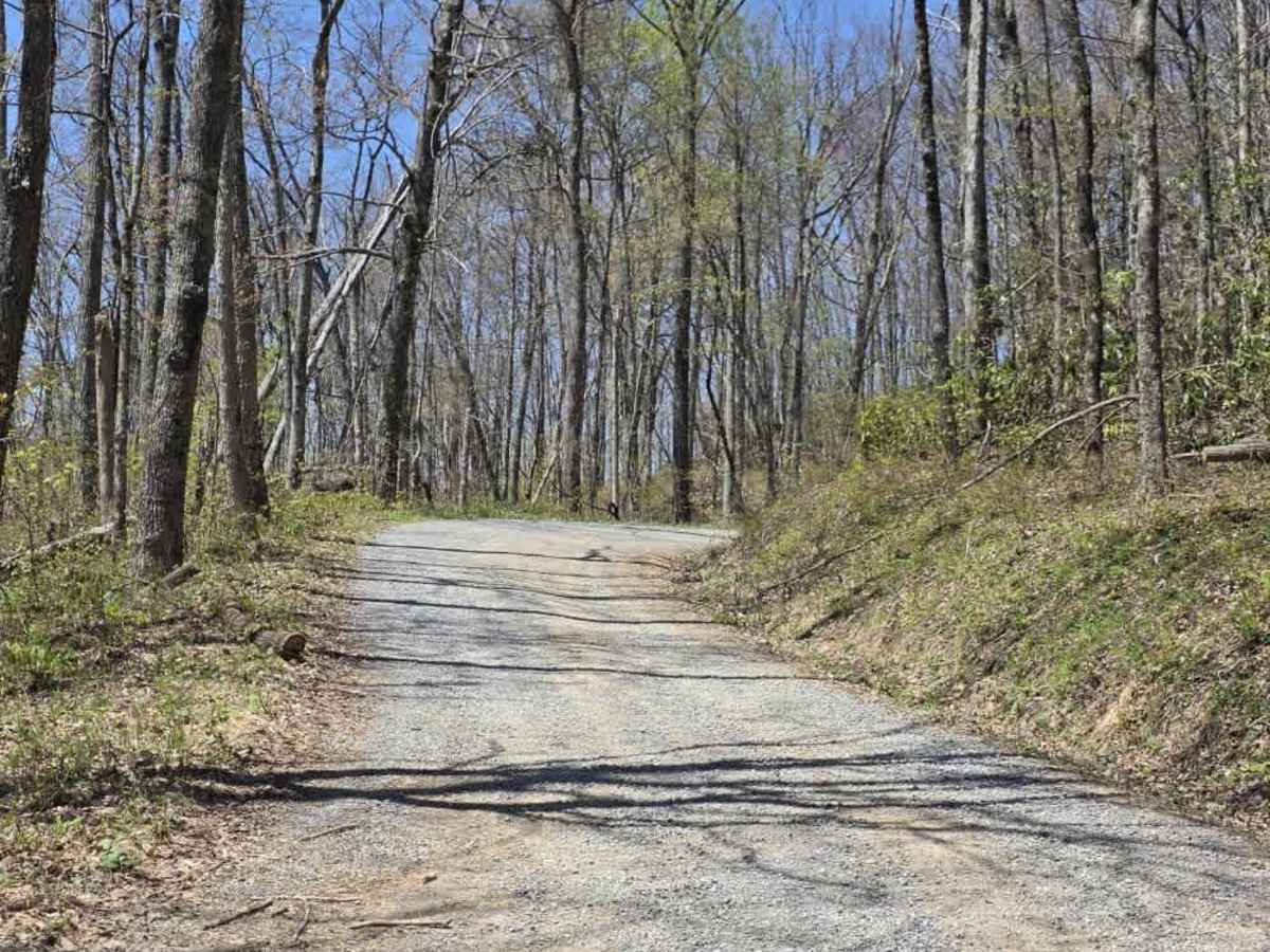Panhandle Road Crest photo 3