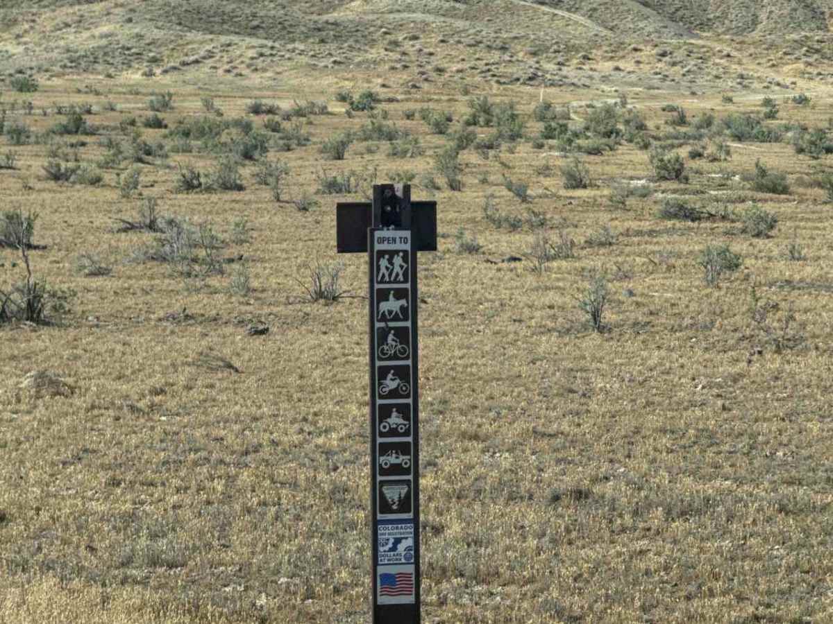 BLM 182 photo 2