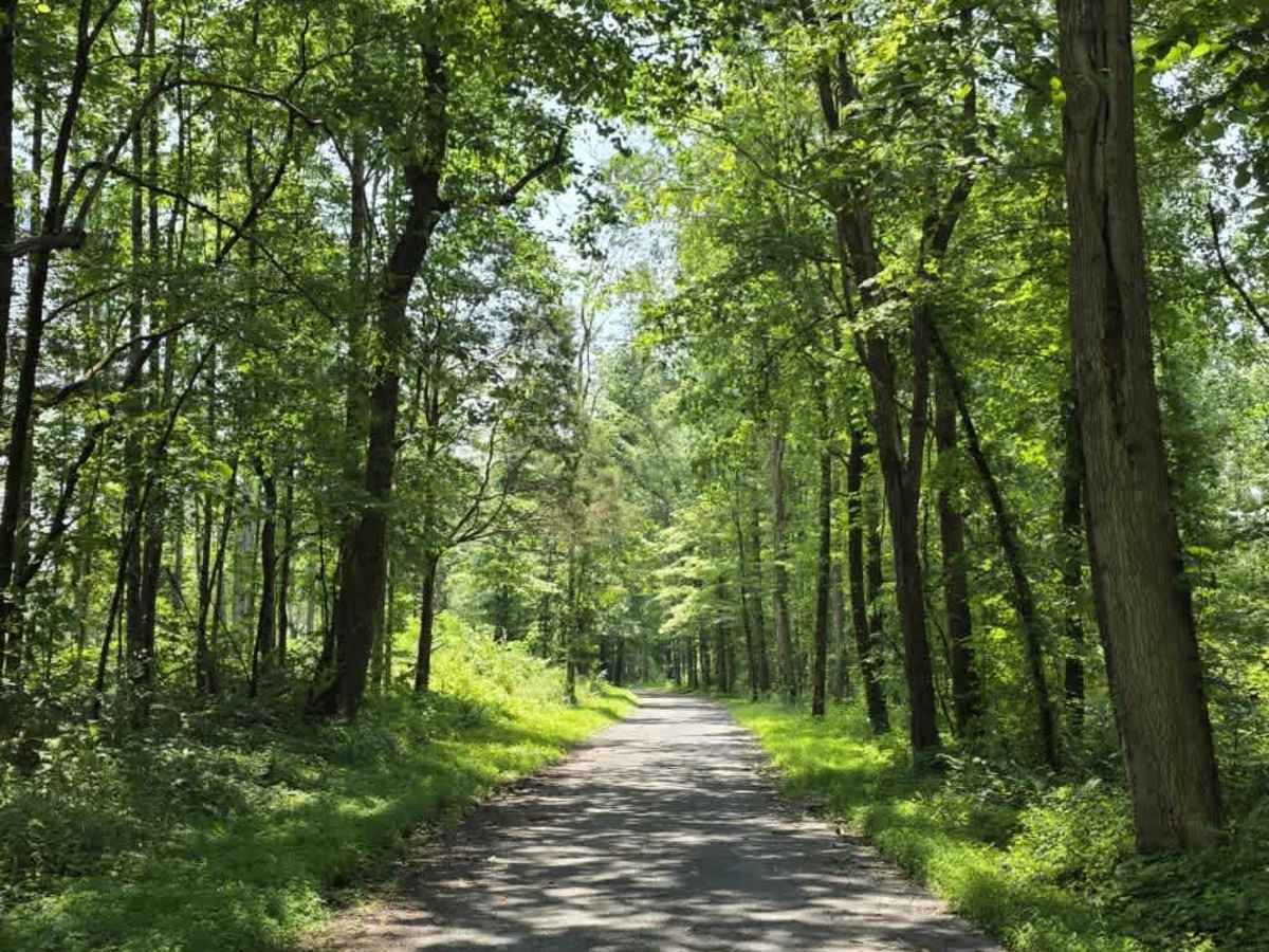 Goose Horn Road - Macon County Tour photo 6
