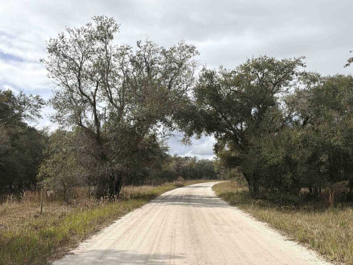 Road 16 - Three Lakes WMA trail photo