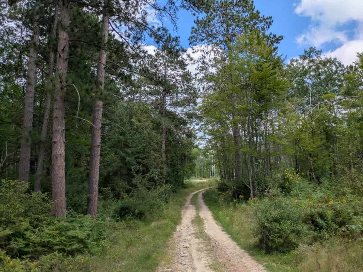Loon Lake Road trail photo