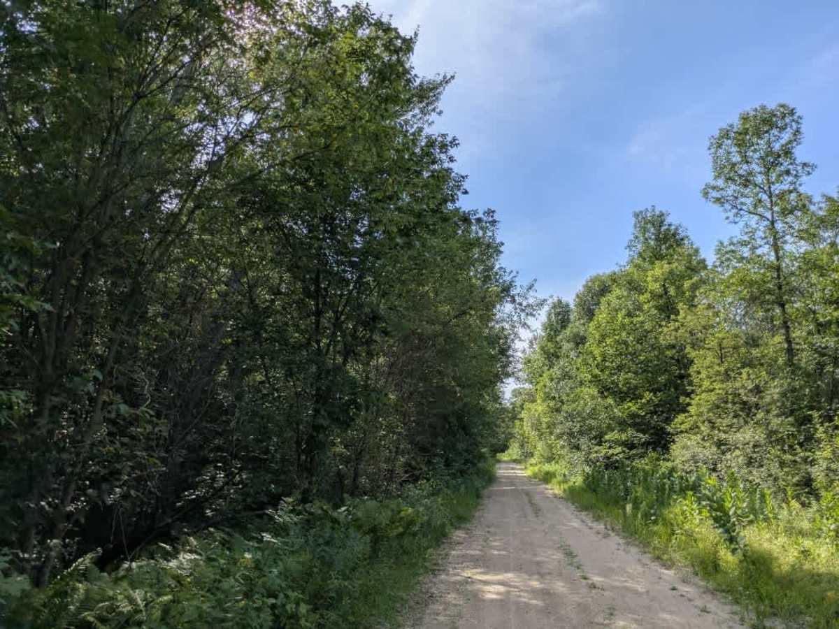 Rapid River Road photo 4