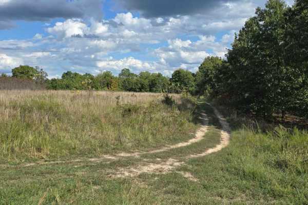 Upper Field Trail