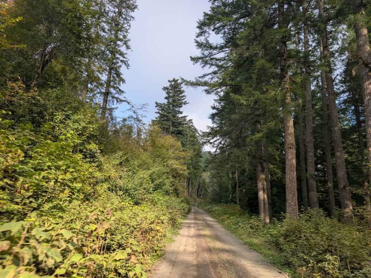 FS 3278000 trail photo