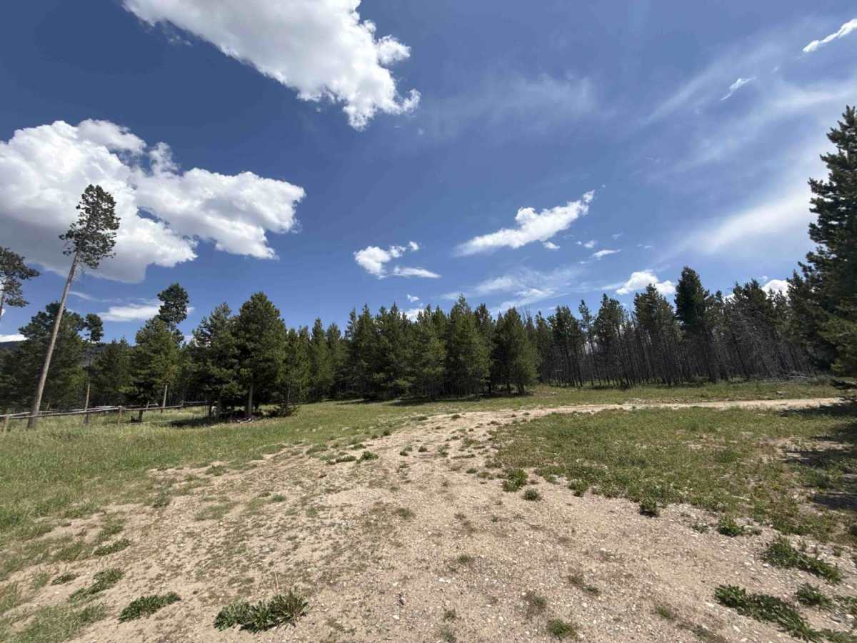 Dirty Bird Spur Road - 121 photo 5