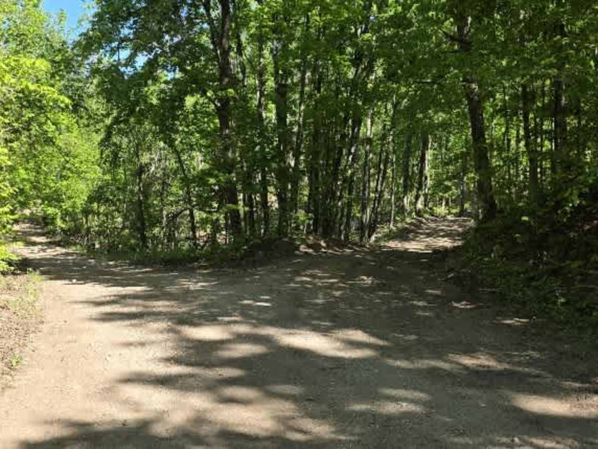 Backwoods Bypass trail photo
