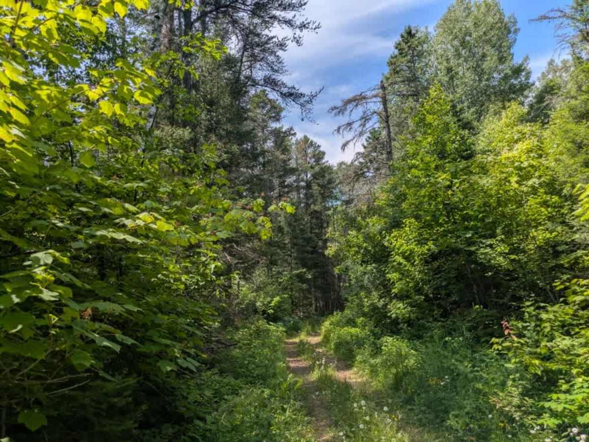 Kane Lake Spur B photo 3