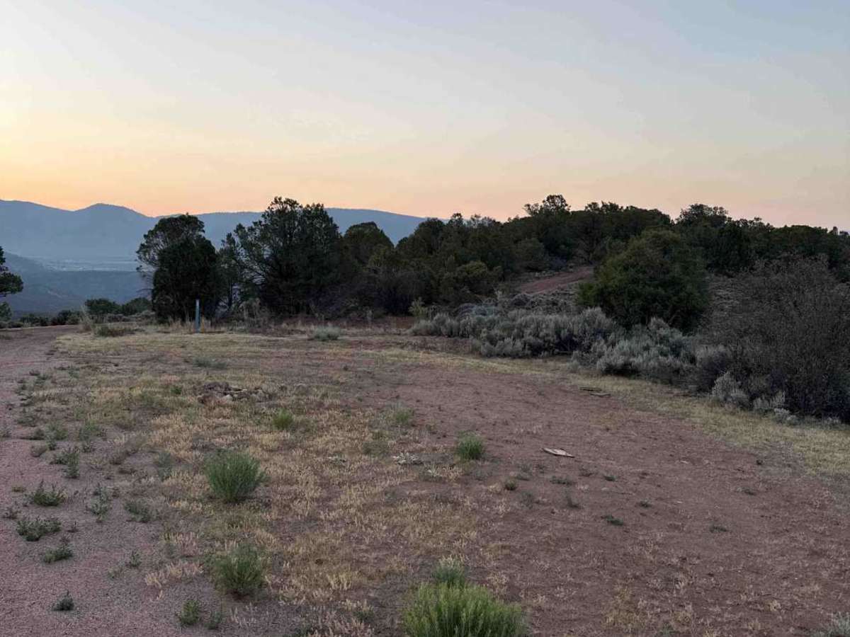 BLM 8621 photo 3