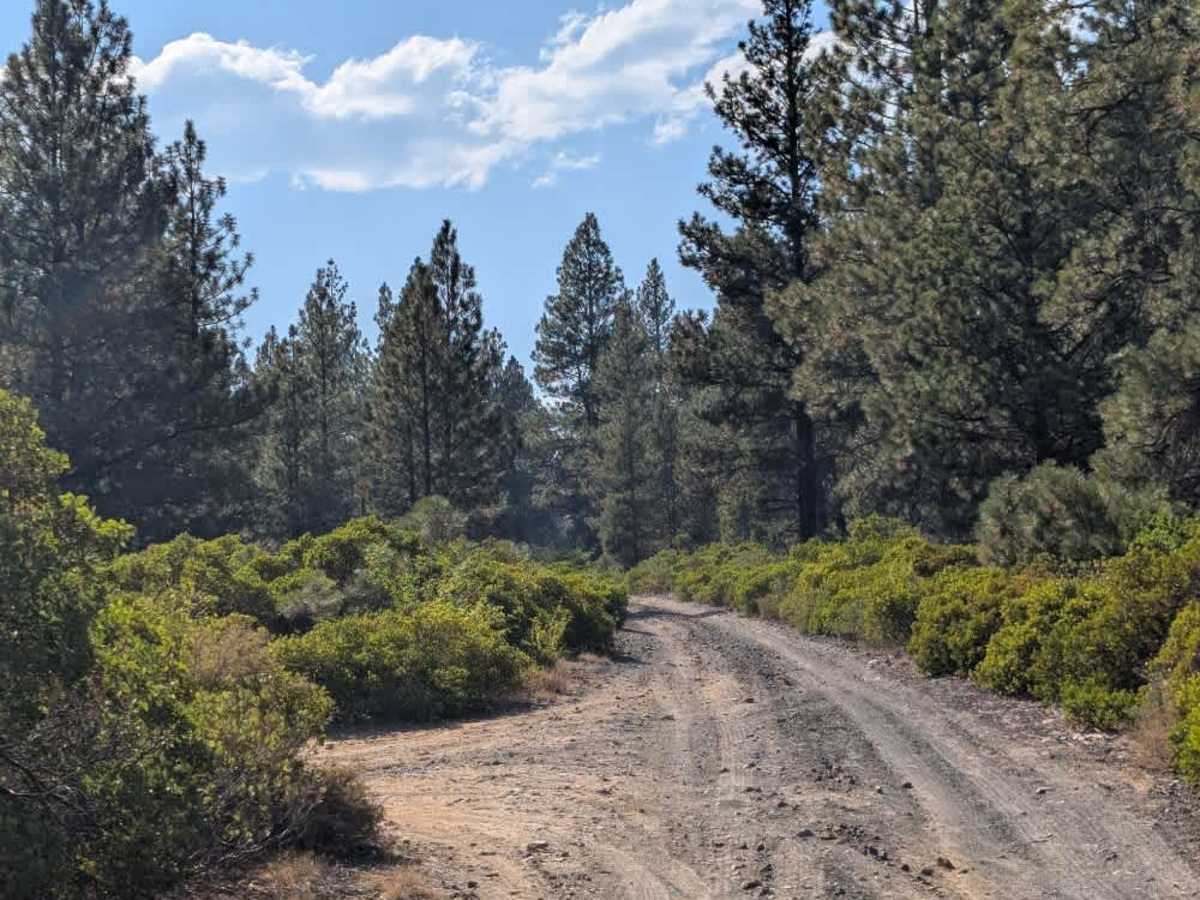 4609000 trail photo