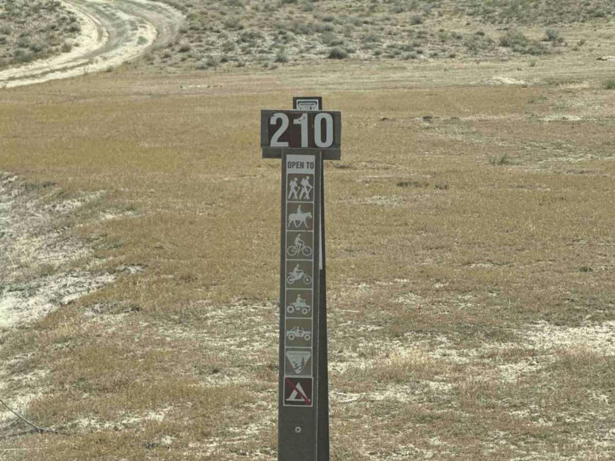 BLM 210 photo 5