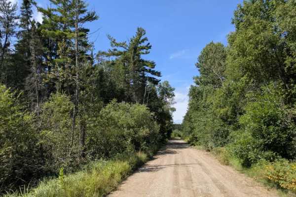 Faunce Butterfield Forest Road