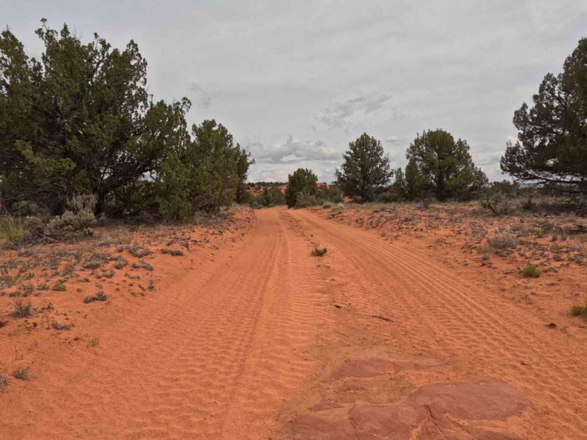 BLM 64K photo 3