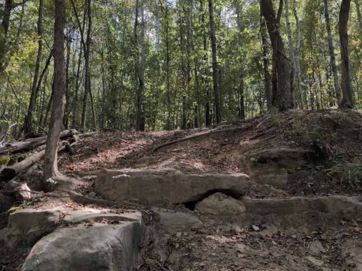 #31 Ol' No. 11 trail photo