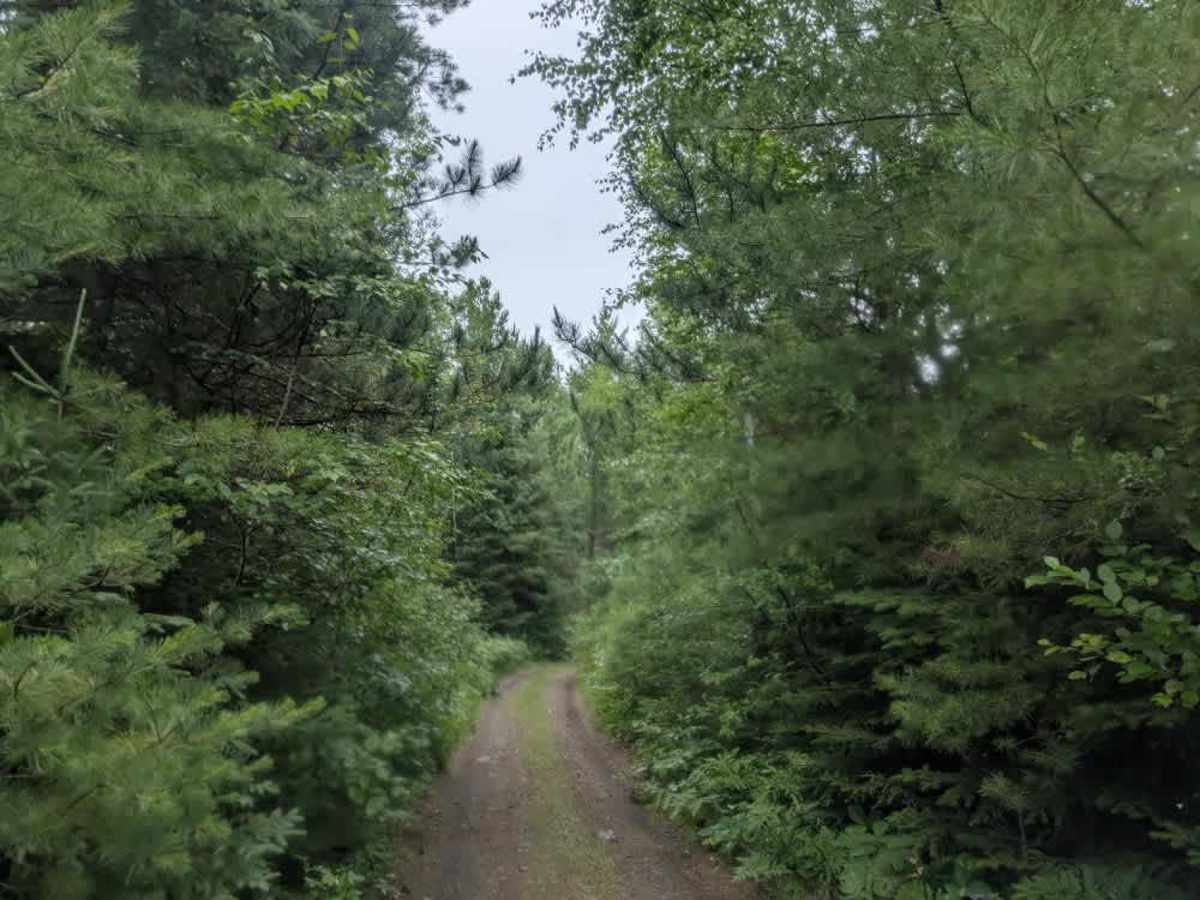 Gander Lake photo 6