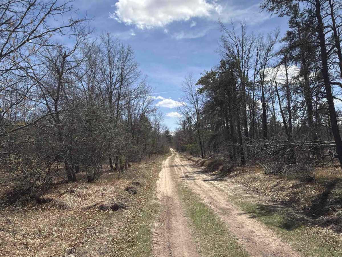 Ketcham Truck Trail photo 6