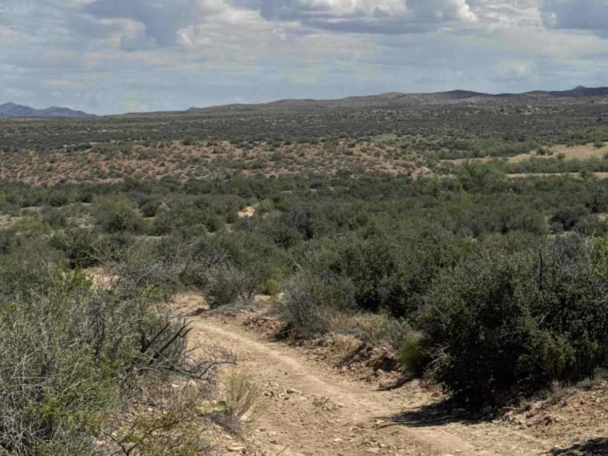 BLM 50016 photo 5
