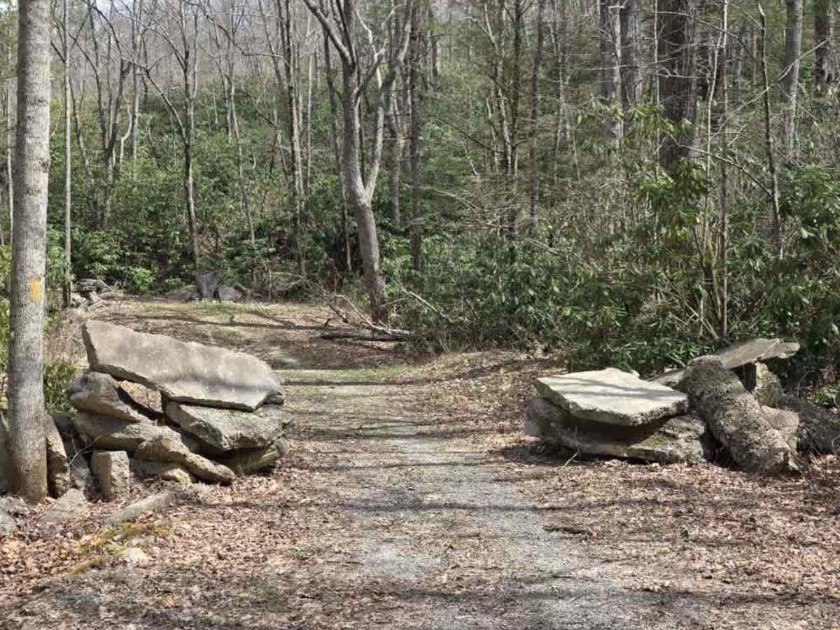 Rocky Branch Road photo 6