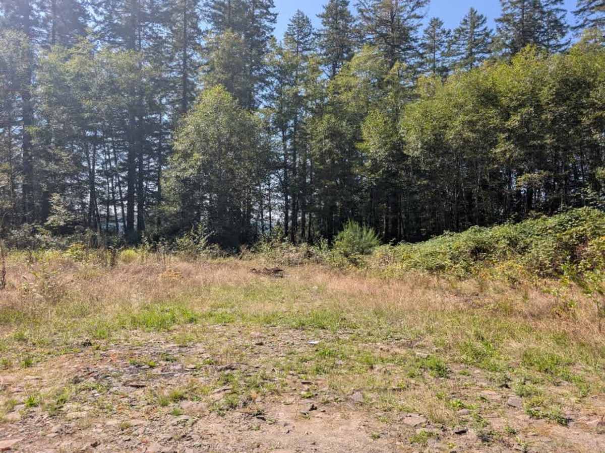 FS 2500796 trail photo