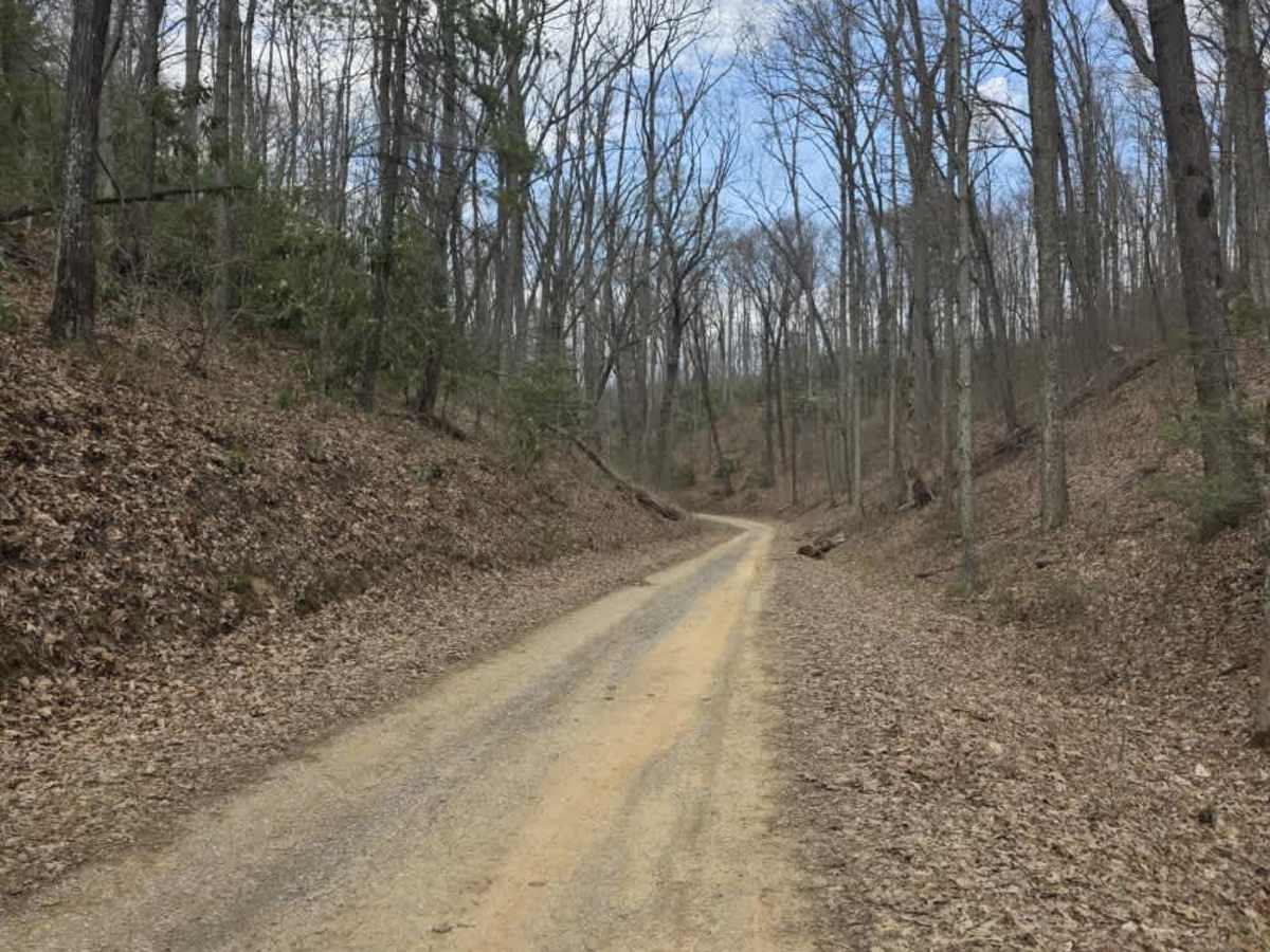 Big Creek Road trail photo